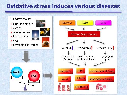 酸化ストレスと疾病