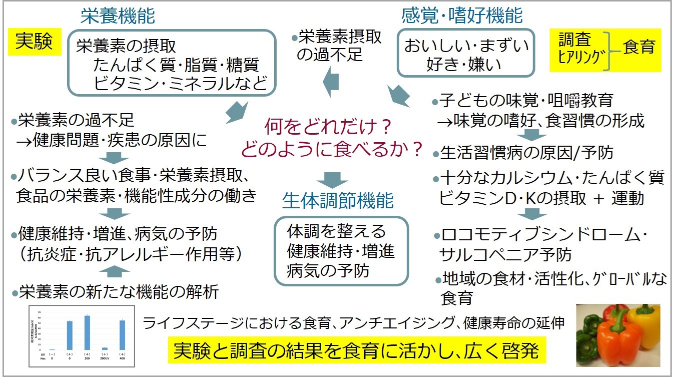 実験と調査の結果を食育に活かし、広く啓発