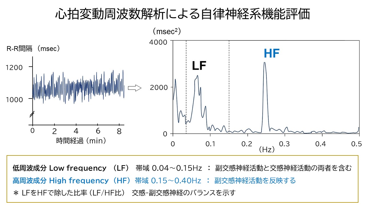 【イメージ】心拍変動（左）と、それを周波数解析した結果（右）（ヒトの場合）