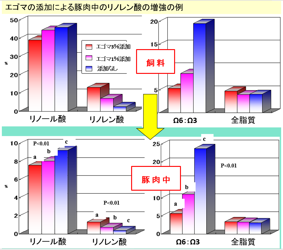 エゴマの添加による豚肉中のリノレン酸の増強の例