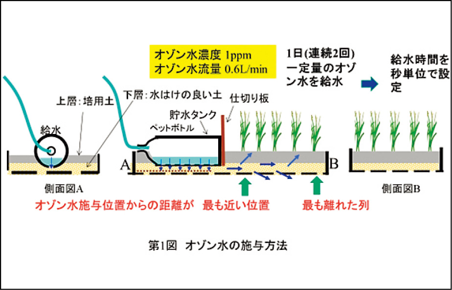 オゾン水の施与方法