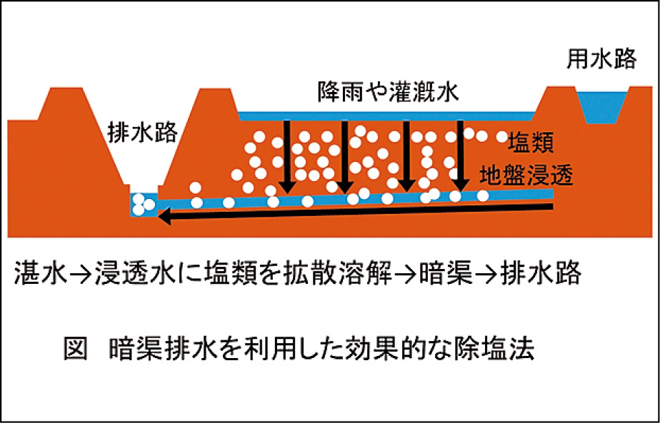 暗渠排水を利用した効果的な除塩法