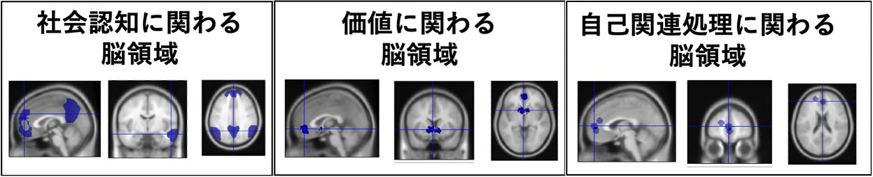 【図１】自己関連・社会認知・価値に関連する脳領域