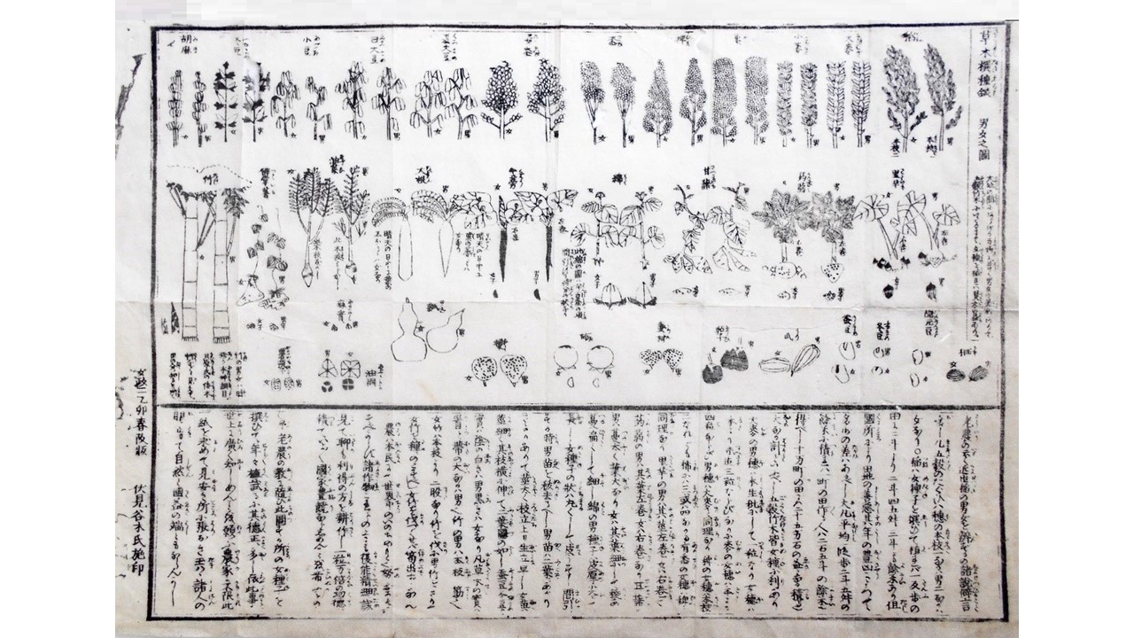 江戸時代の農民が参考にした農作物のタネ採り方法を示した絵図「草木撰種録」（筆者所蔵）