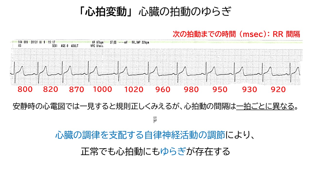 心電図から観察できる心拍のゆらぎ「心拍変動」