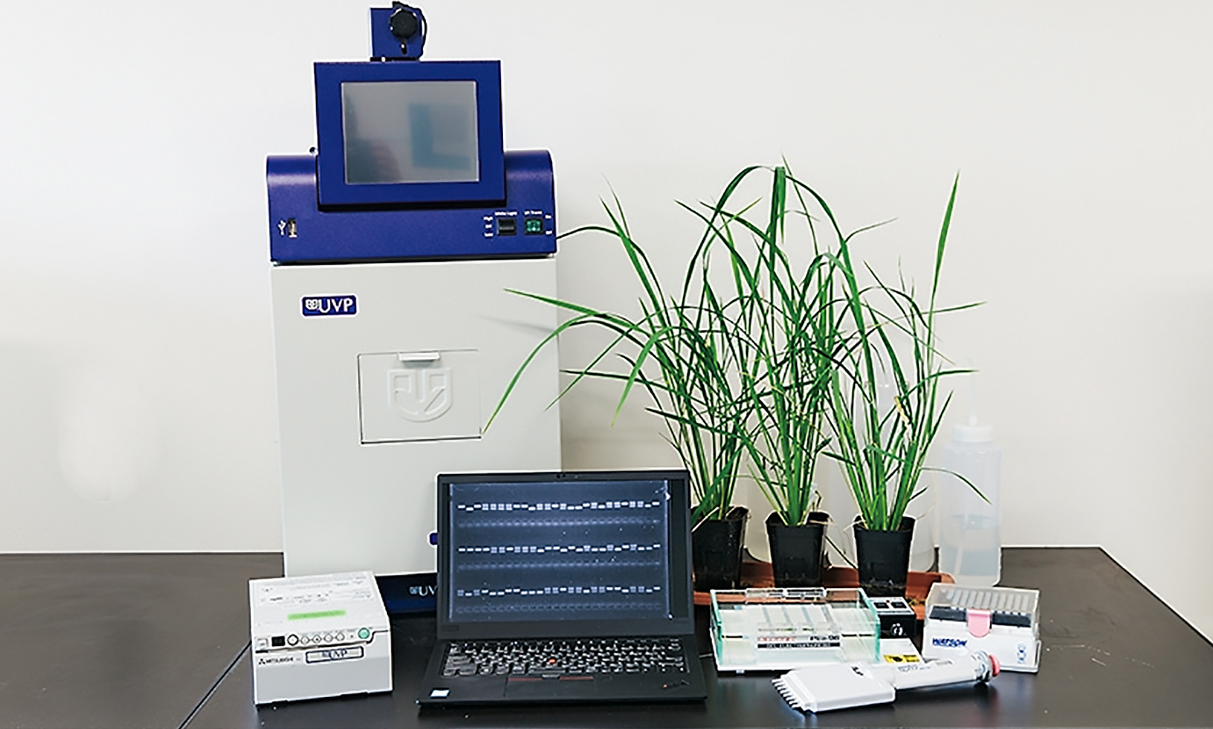 植物機能開発実験実習