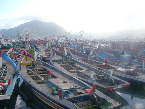 漁村における市場取引