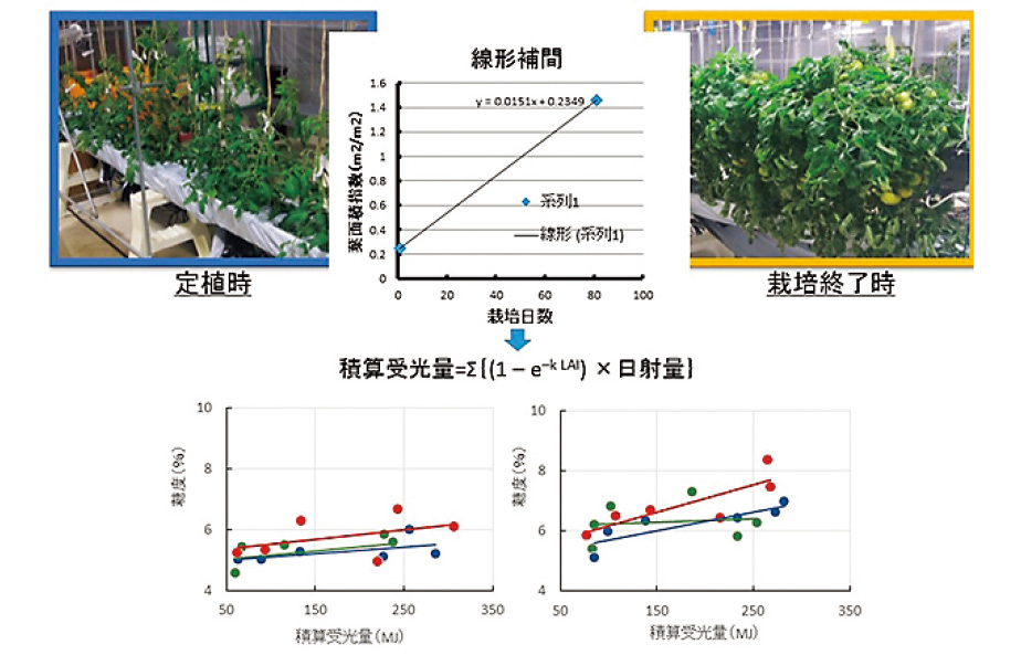 ②高糖度トマトの栽培に適した環境制御技術の開発