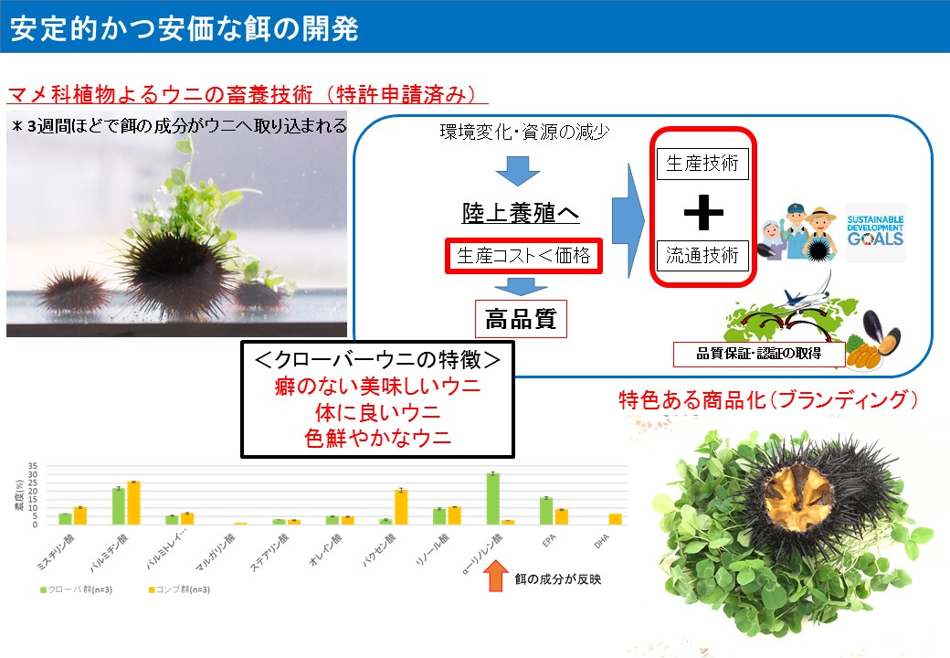 詳細は「片山亜優 クローバー ウニ 特許」で検索してください。