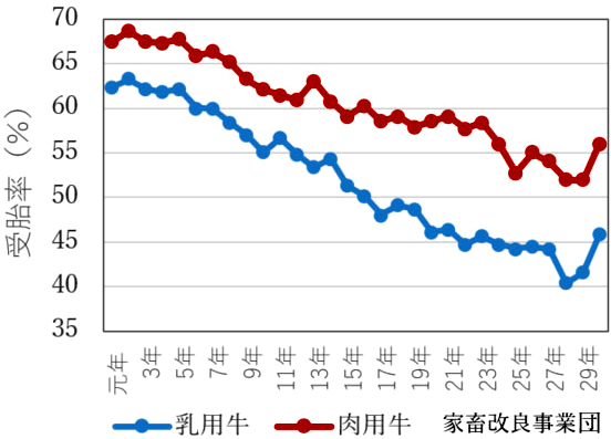 人工授精による初回受胎率