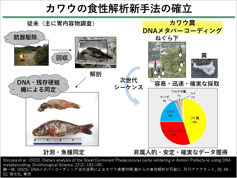 カワウの糞DNAメタバーコーディング解析