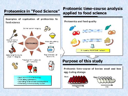 食品・栄養学におけるプロテオミクス