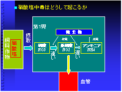 硝酸塩中毒はどうしておこるか