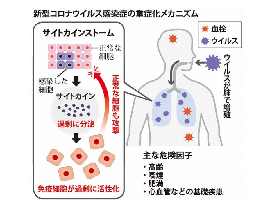 皮膚のウイルス性疾患