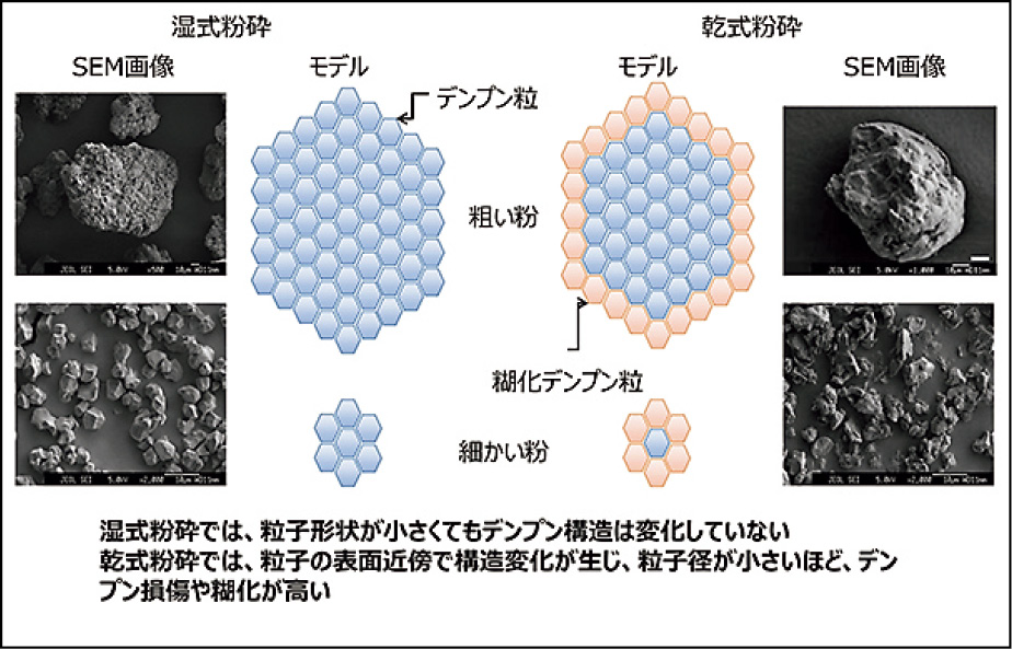 製粉方法の違いによる米粉の特徴