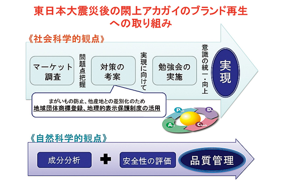 東日本大震災後の閖上アカガイのブランド再生への取り組み