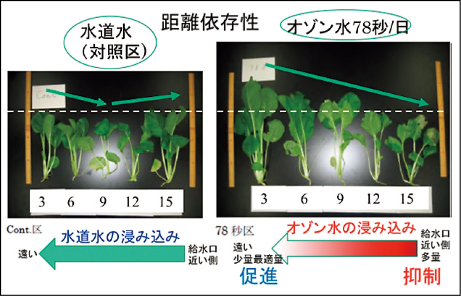 距離依存性