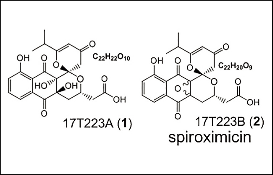 tetrapetalone A