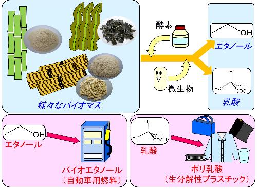 研究概要