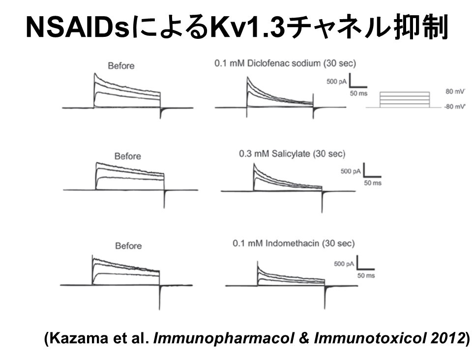 【図２】NSAIDsによるカリウムチャネル（Kv1.3）の抑制