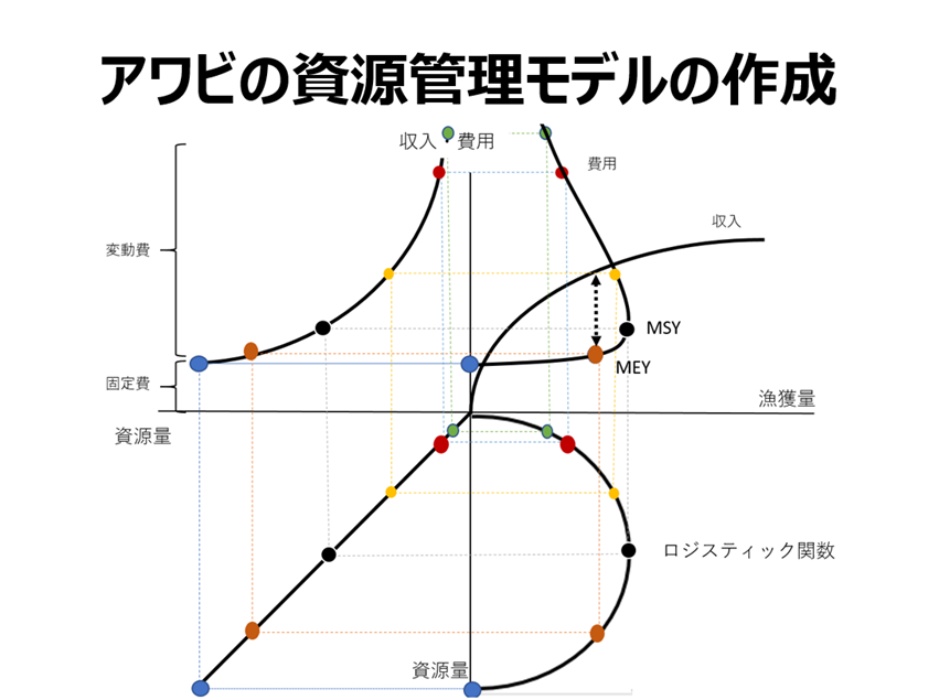 アワビの資源管理モデルの検討