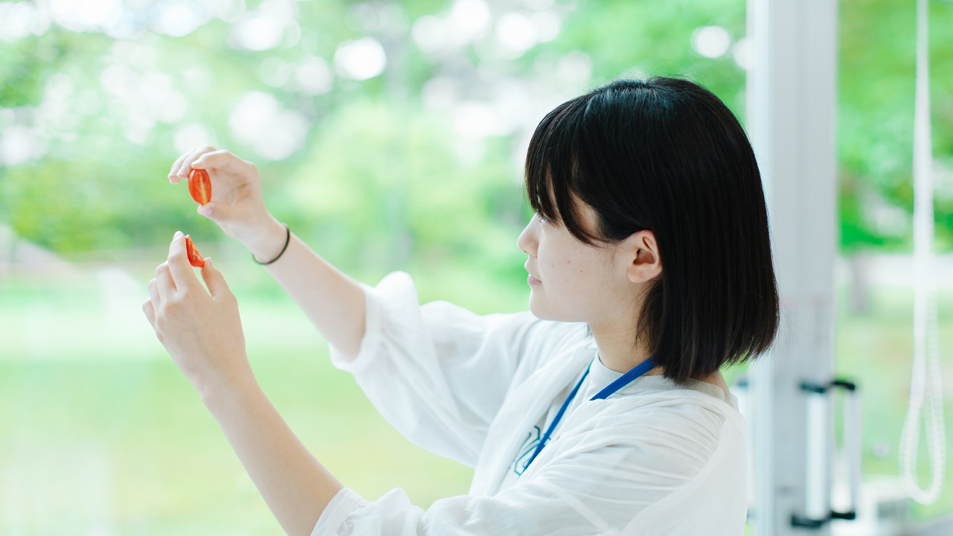 和食に欠かせない美味しい植物を味わい，細胞が育つ様子をありのままに見る