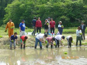 Rice planting event in Taiwa-cho with overseas students.