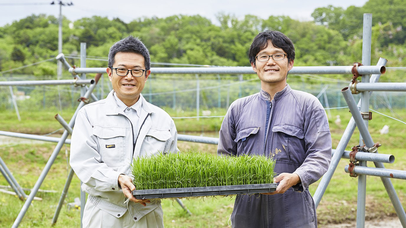 米どころ宮城の水稲生産を実践で学ぶ“田植え実習”/植物性食材生産実験実習I 