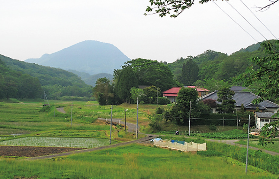 仙台市内某所の風景　歴史の名残りを感じさせる風景を見つけることが好きで，仙台市や大和町を中心に県内各地を歩き回っています。