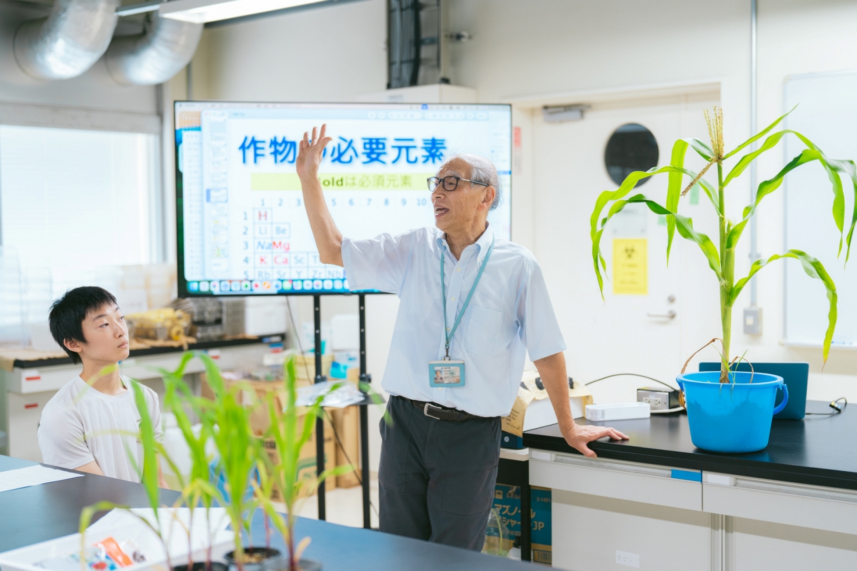 体験企画　植物の顔色を見てみよう