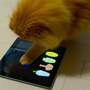 CATouch