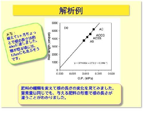 解析例