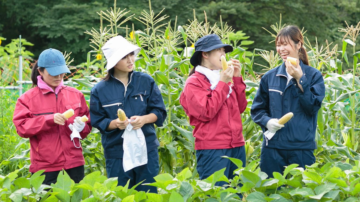 野菜の栽培を通して学ぶ食材生産の現場/食材生産・加工実習Ⅰ