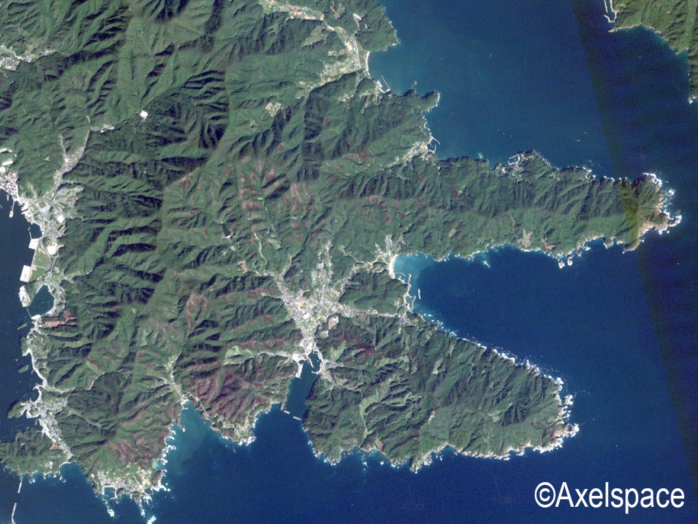 大規模火災が発生した山林を2025年9月に観測した人工衛星の画像(岩手県大船渡市)