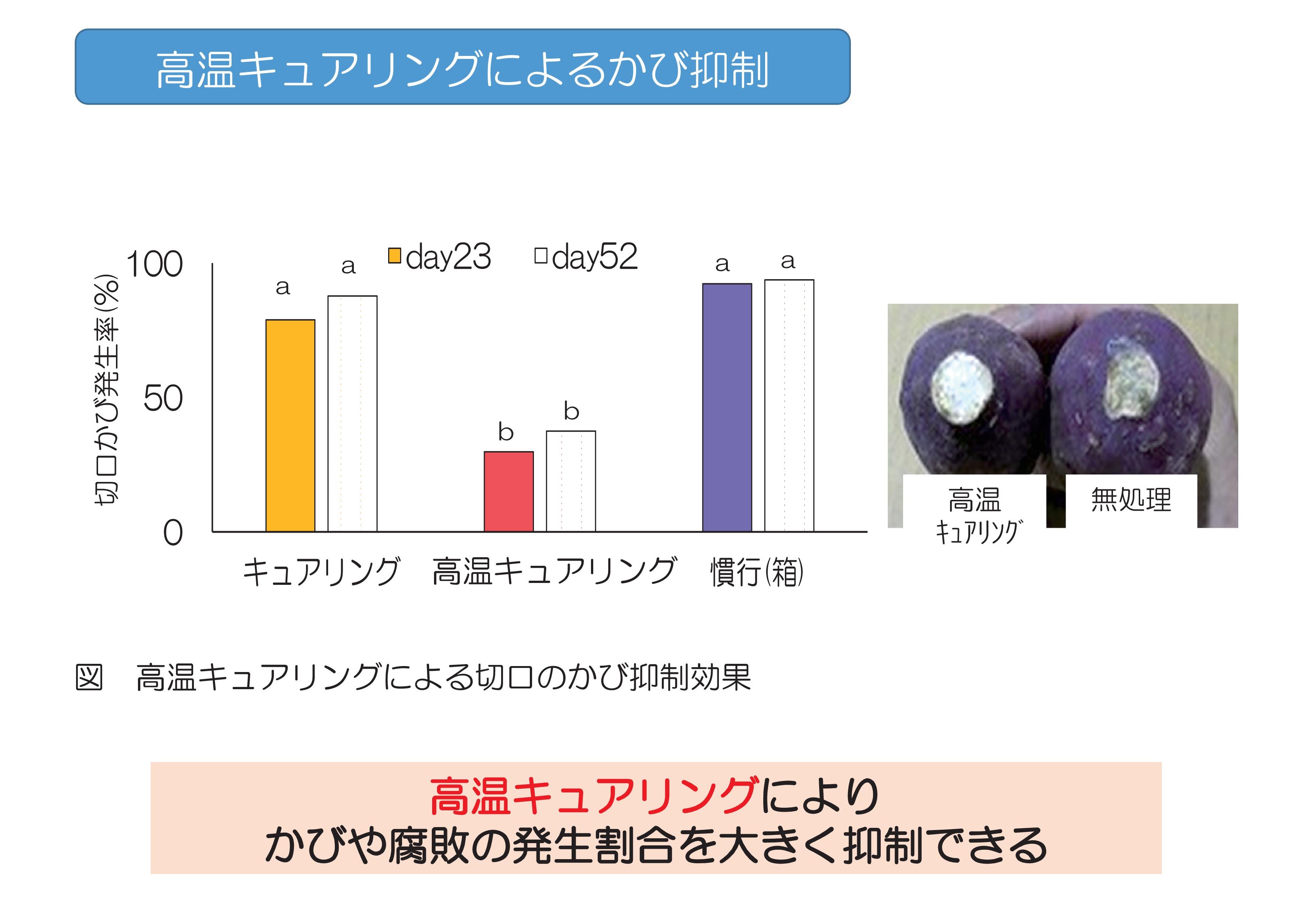 高温キュアリング処理による流通中のサツマイモの品質保持効果