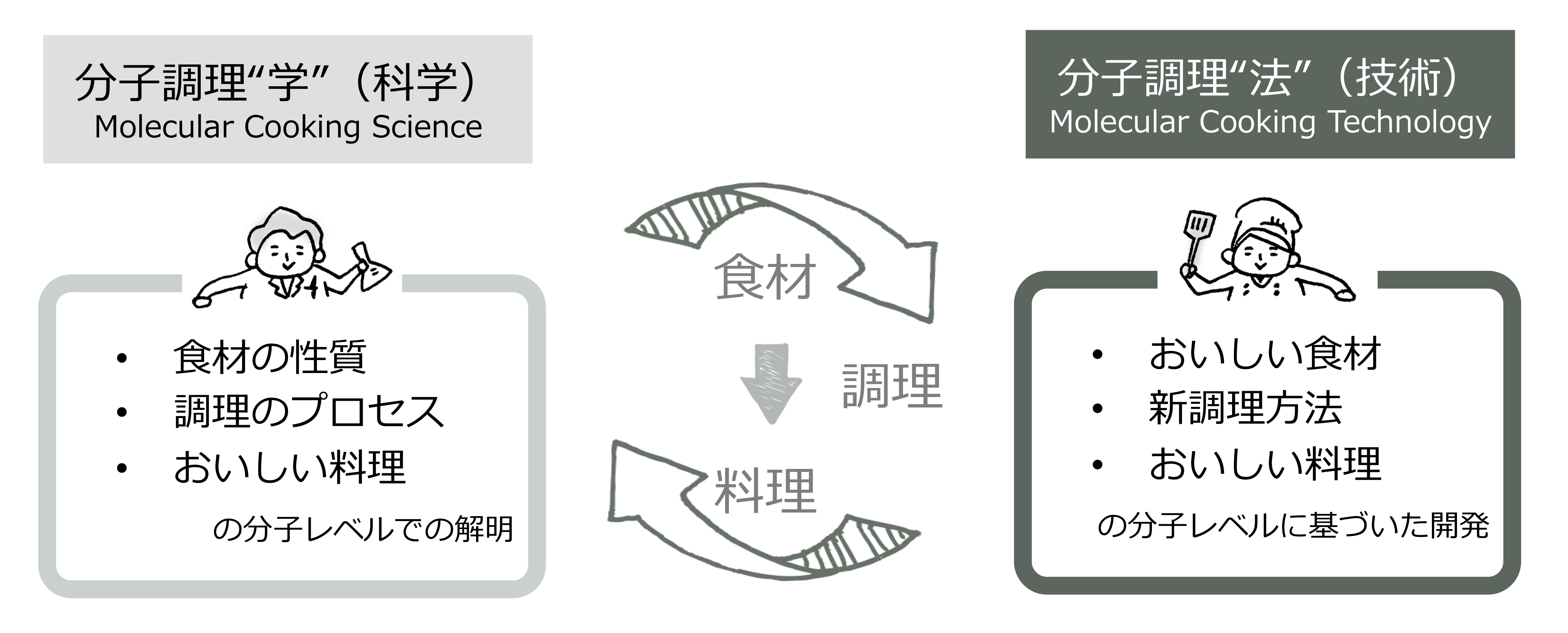 「分子調理」の定義