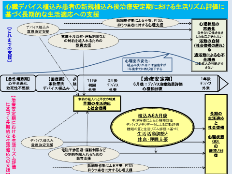 植込み型心臓デバイス患者への支援プログラム考案例