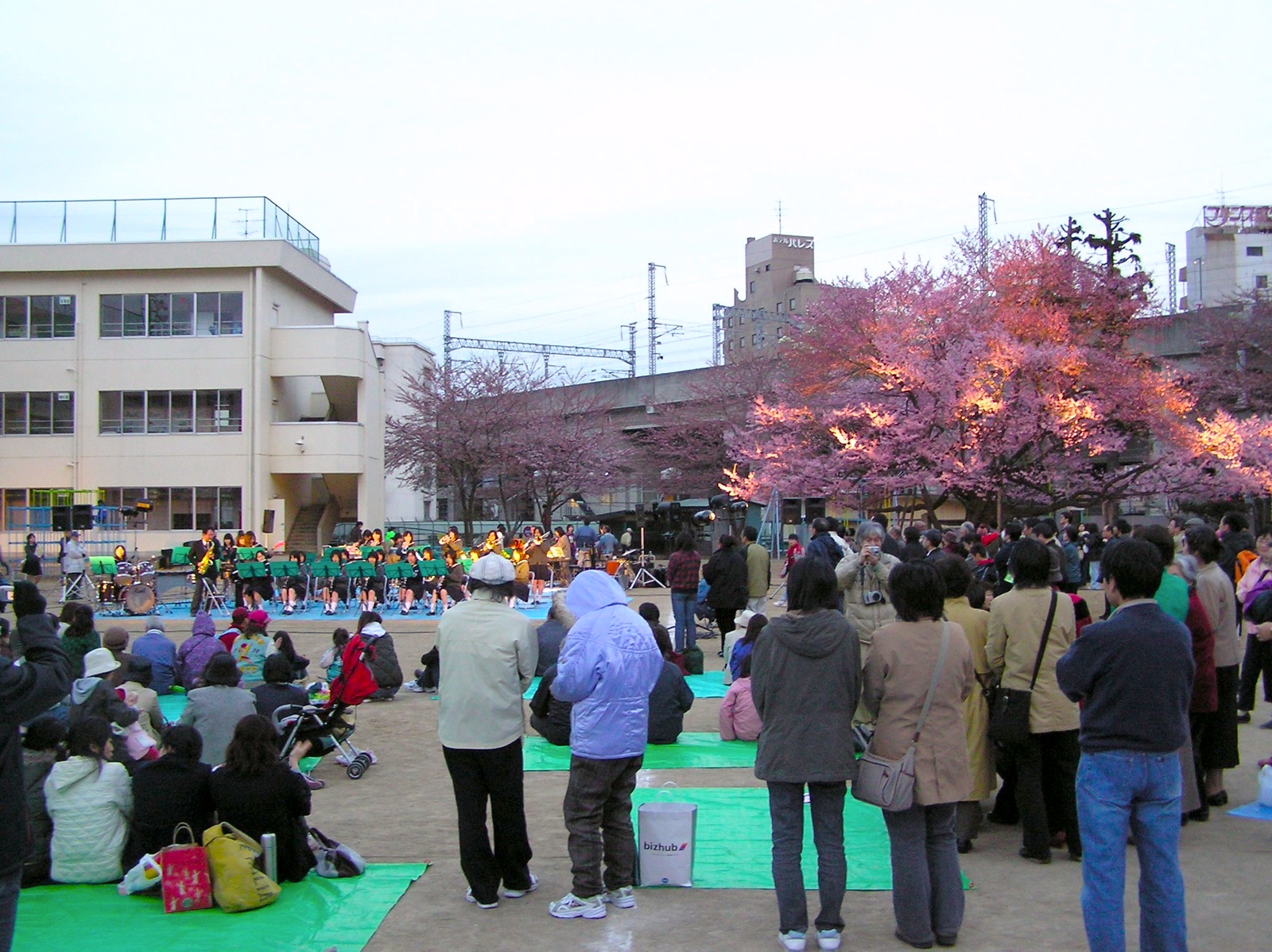 東六小の桜と音楽を愛でる会