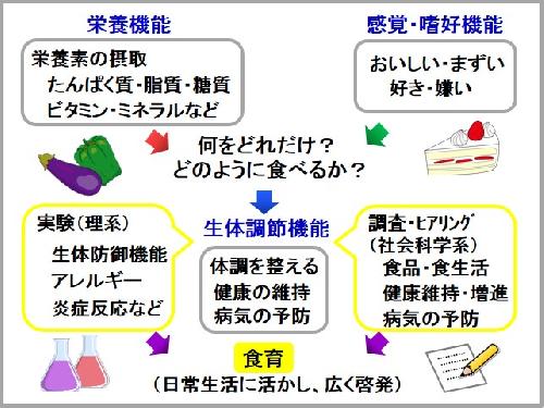 図1.食品・栄養と健康に関する研究