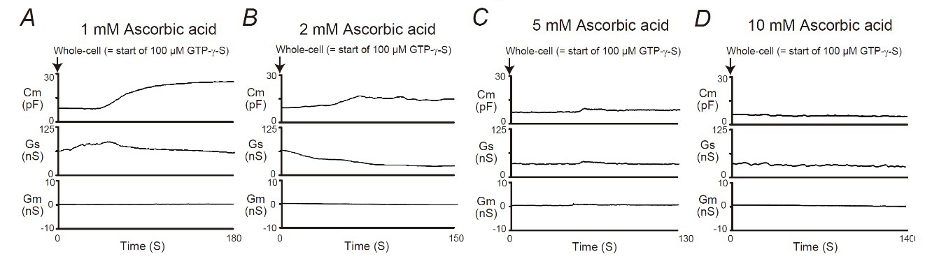 図3 高用量のビタミンC（アスコルビン酸）による細胞膜容量増加の抑制（文献： Kazama I, Sato Y et al. Cell Physiol Biochem 2022より引用）