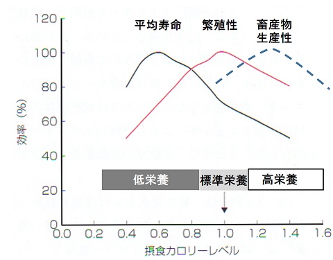 図2 摂取カロリーと平均寿命、生殖効率、畜産物生産性の関係(仮説）