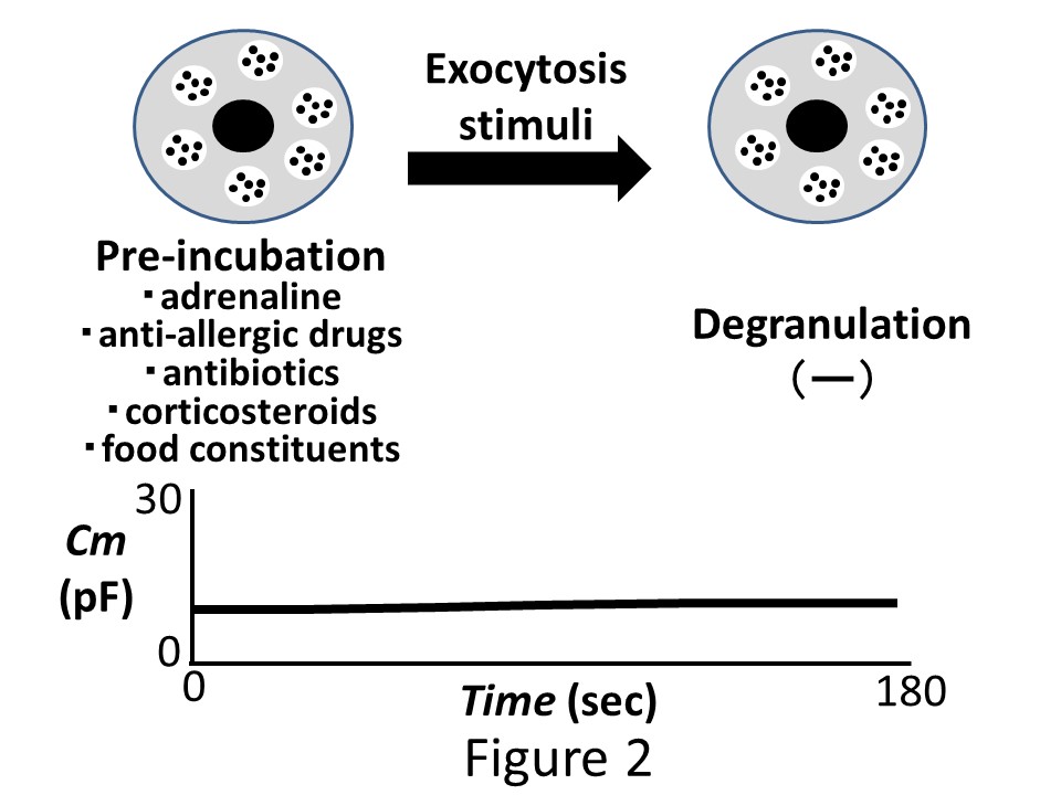 【図3】薬剤や成分による，肥満細胞の脱顆粒現象（エクソサイトーシス）の予防効果（文献： Kazama I. Clinical and Molecular Allergy 2021より引用）
