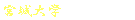 {w
